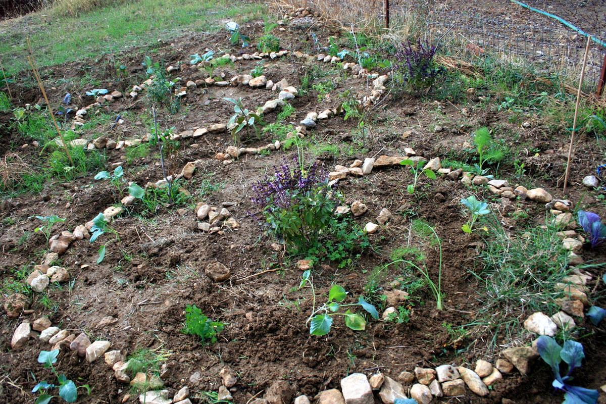 cultivating the earth, cultivating ourselves