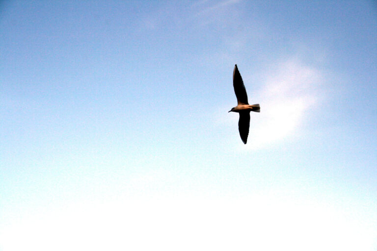 μια ψυχολογία απελευθέρωσης