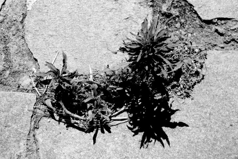 όσα επιτρέπουν στις ρωγμές να εκφραστούν