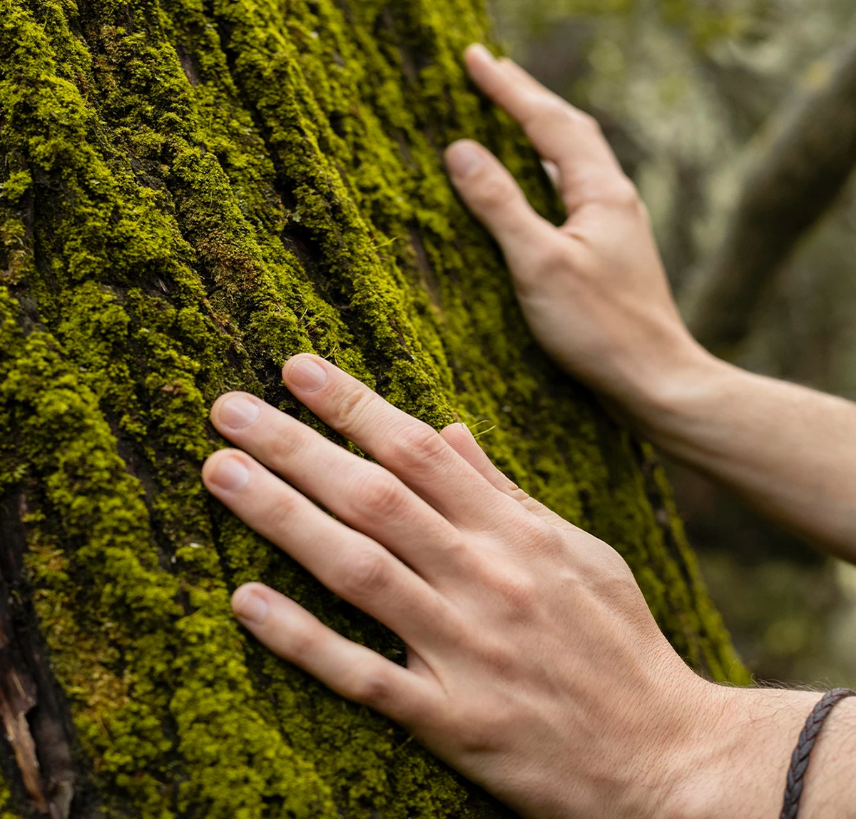 Κήπος για την Αυτογνωσία & το Ευ Ζην