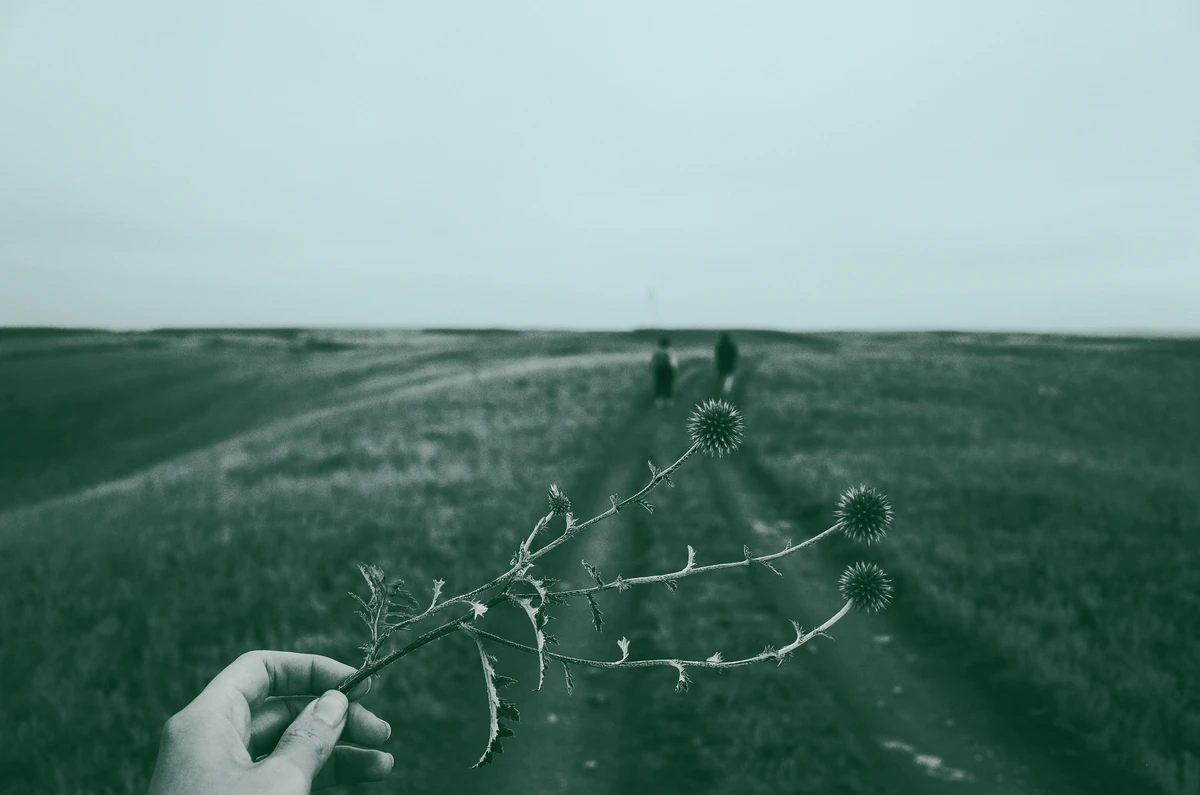 Η οπτική της φύσης στη συμβουλευτική διαδικασία ή η αυτογνωσία αλλιώς!