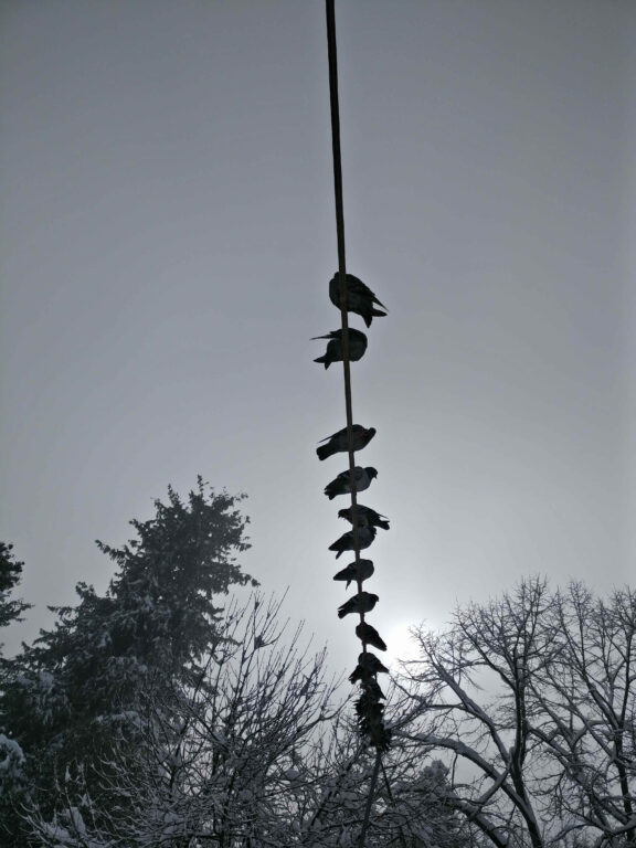 hope instead of other wishes