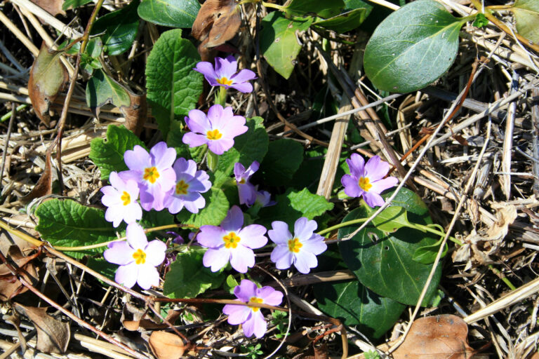 γιατί είστε εδώ;