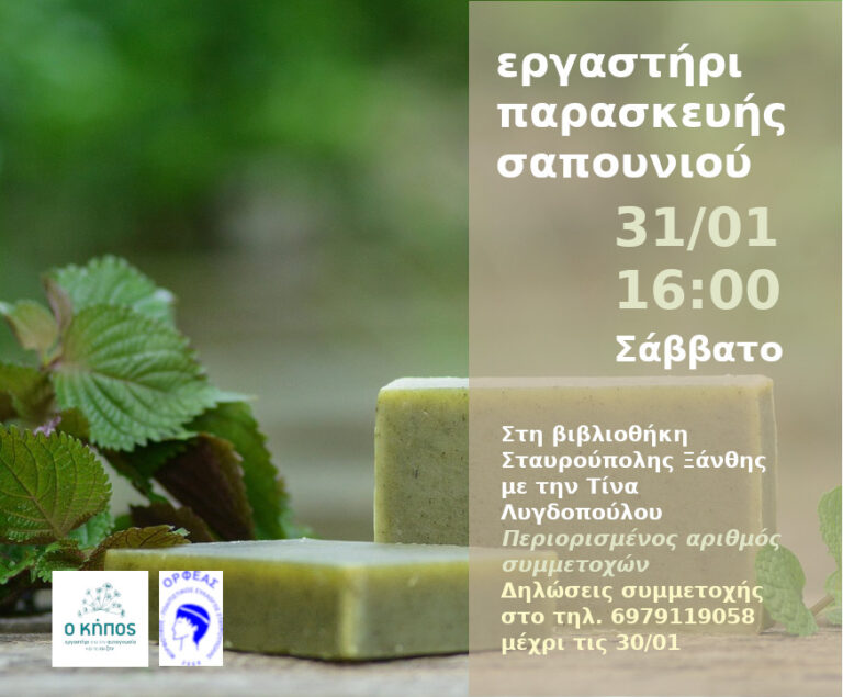 soap making workshop